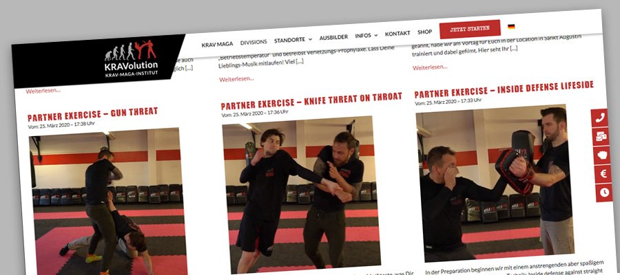 Online Krav Maga Training