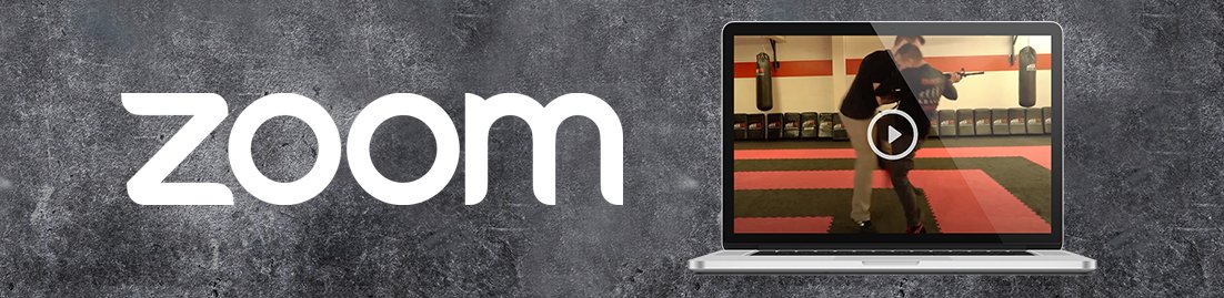 Zoom Krav Maga Training online