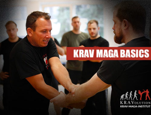 Krav Maga Basis Seminar – am 08.06.2024