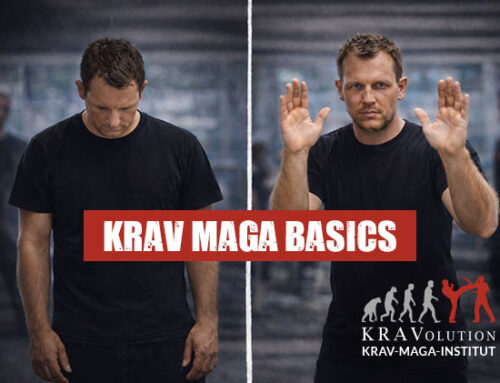 Krav Maga Basis Seminar – am 09.05.2026